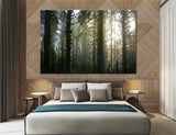 Dense Forest Canvas Print #7111