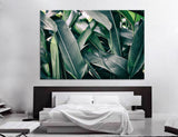Tropical Leaves Canvas Print #7556