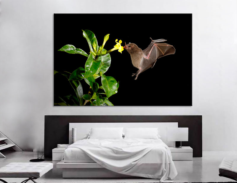 Bat Canvas Print #8042