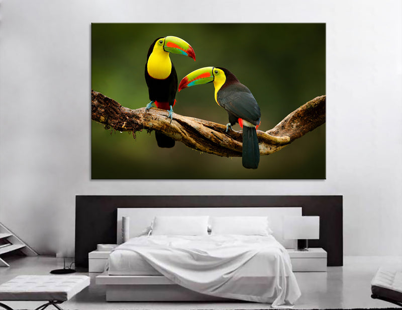 Toucan Canvas Print #8009