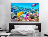 Coral Reef Fish Canvas Print #7130