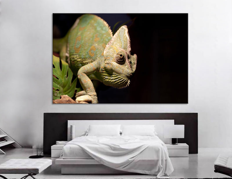 Green Chameleon Canvas Print #8178
