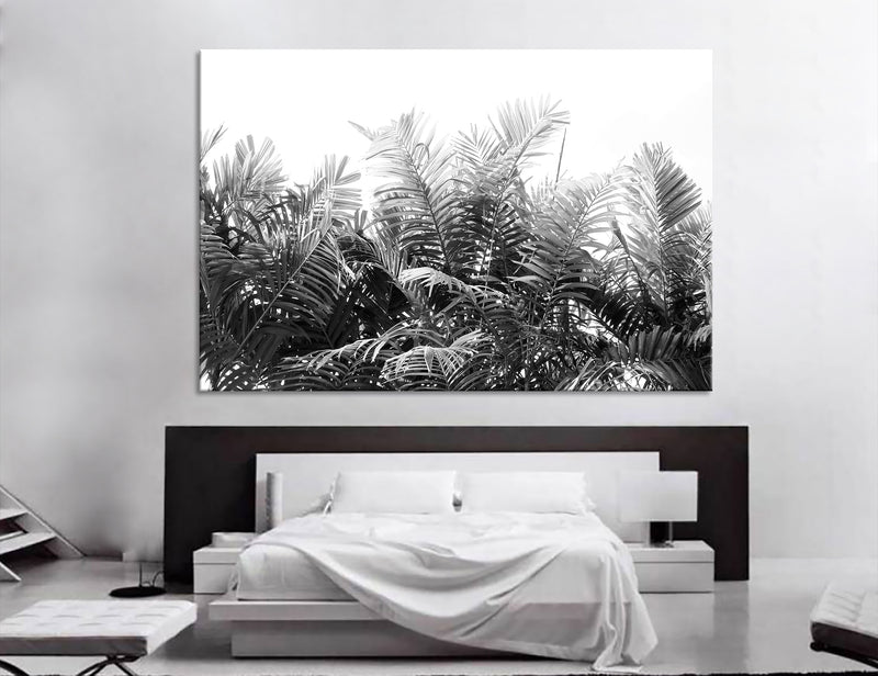 Black White Palm Branches Canvas Print #7541