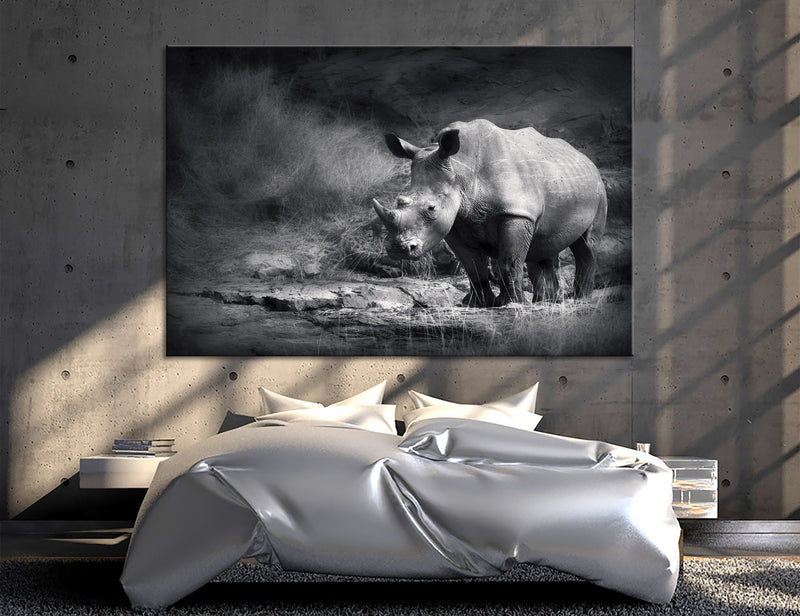 Rhino BW Canvas Print #8188