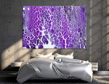 Violet Abstract Canvas Print #1034