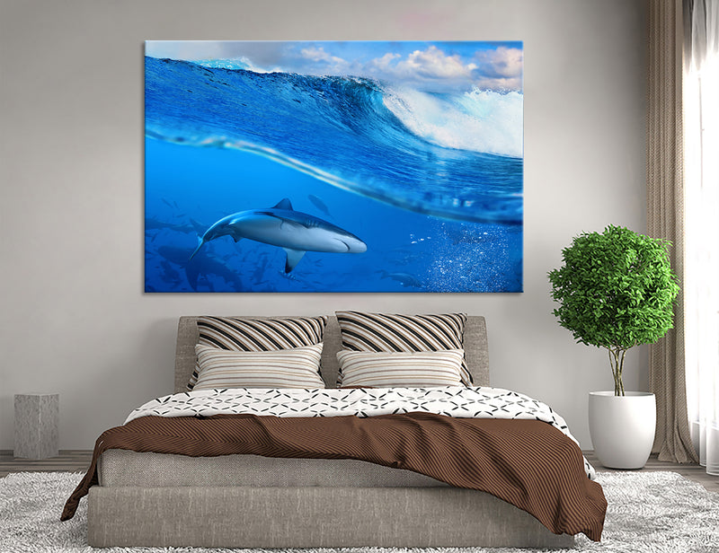 Sharks Canvas Print #8175