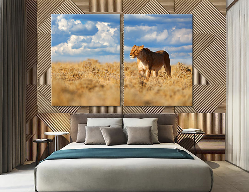Lioness Canvas Print #8052