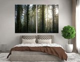 Dense Forest Canvas Print #7111