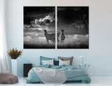 BW Nature Africa Canvas Print #8033