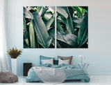 Tropical Leaves Canvas Print #7556