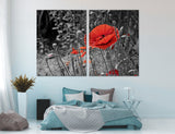 Poppy Flower Canvas Print #7532