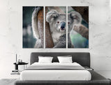 Koala Canvas Print #8187
