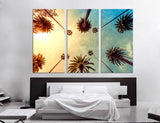 Tops of Palms Canvas Print #7106