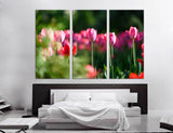 Pink Tulips Canvas Print #7517