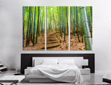 Bamboo Grove Canvas Print #7084