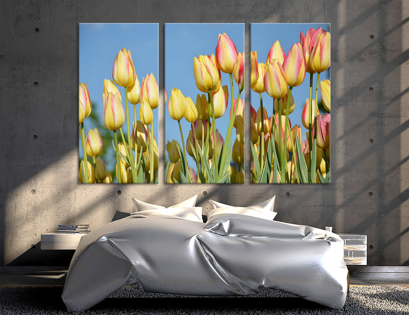 Tulips Canvas Print #7549