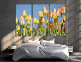 Tulips Canvas Print #7549