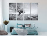 Tree in Field Canvas Print #7082