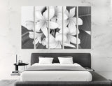 Tropical Flowers Canvas Print #7536