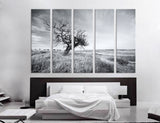 Tree in Field Canvas Print #7082