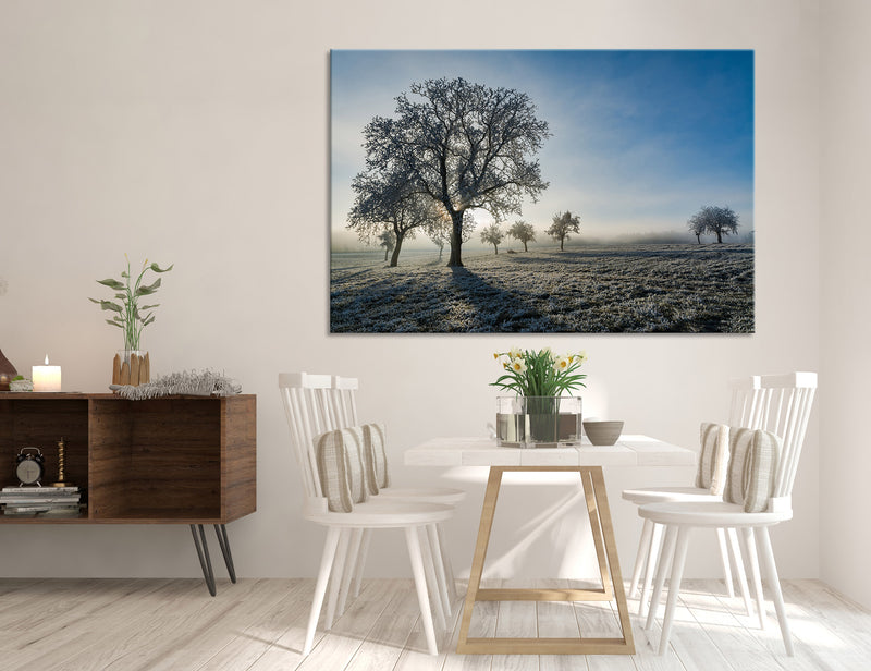 Snow Covered Trees Canvas Print #7126