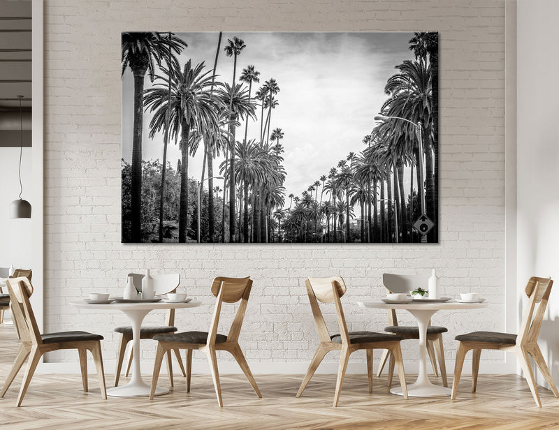 Los Angeles Palm Trees in BW Canvas Print #6620