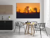 Solar Rays Pass Tree Branches Winter Canvas Print #7122