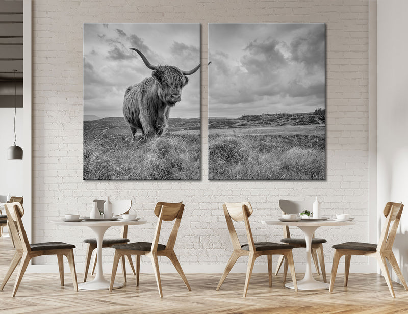 BW Highland Сattle Canvas Print #8198