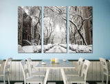 Snowy Street Canvas Print #9181