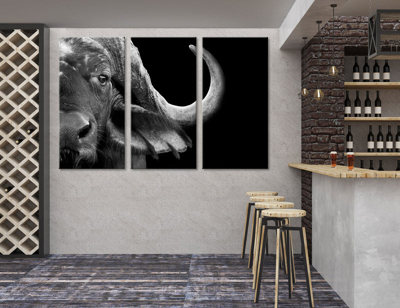 Buffalo Photo Canvas Print #8190