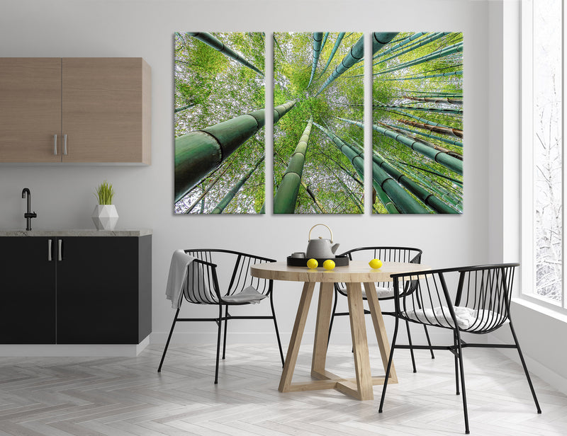 Arashiyama Bamboo Grove Canvas Print #7245