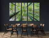 Arashiyama Bamboo Grove Canvas Print #7245