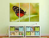 Black Red Butterfly Canvas Print #8059