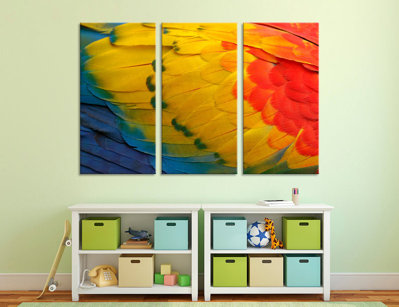 Bright Feathers Canvas Print #8034