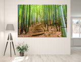 Bamboo Grove Canvas Print #7084
