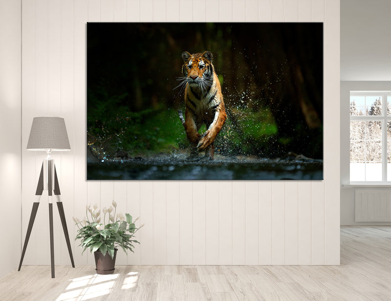 Running Tiger Canvas Print #8023