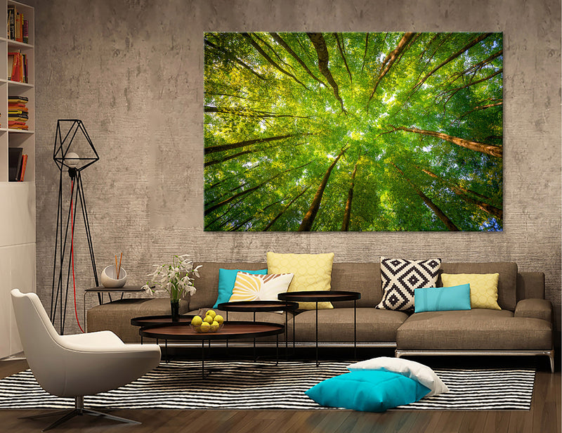 Treetops Canvas Print #7127