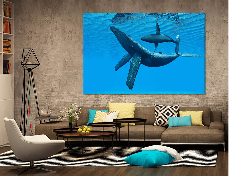 Humpback Canvas Print #8171