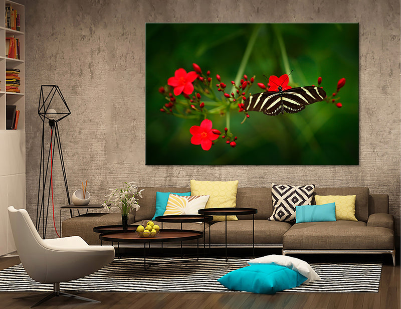 Fly of Butterfly Canvas Print #8038