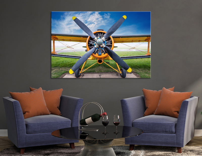 Biplane Canvas Print #3805