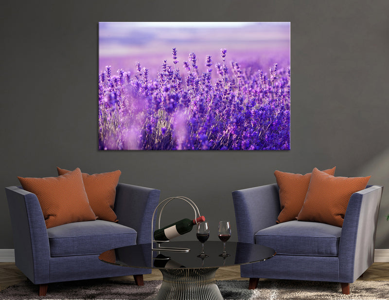 Lavender Canvas Print #7514