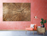 Wood Abstract Canvas Print #1296