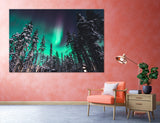 Polar Lights Canvas Print #7090