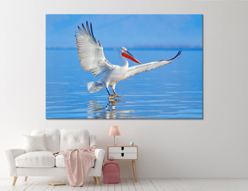 Pelican Canvas Print #8047