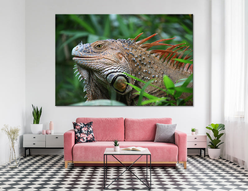 Iguana Canvas Print #8154