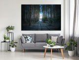 Forest Road Canvas Print #7083