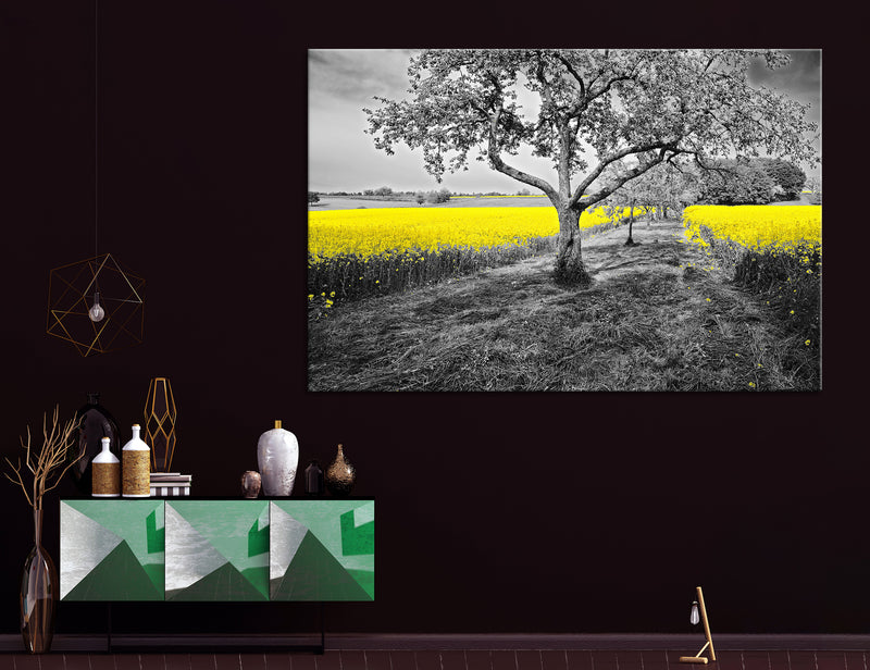 Yellow Flower Field Canvas Print #7531