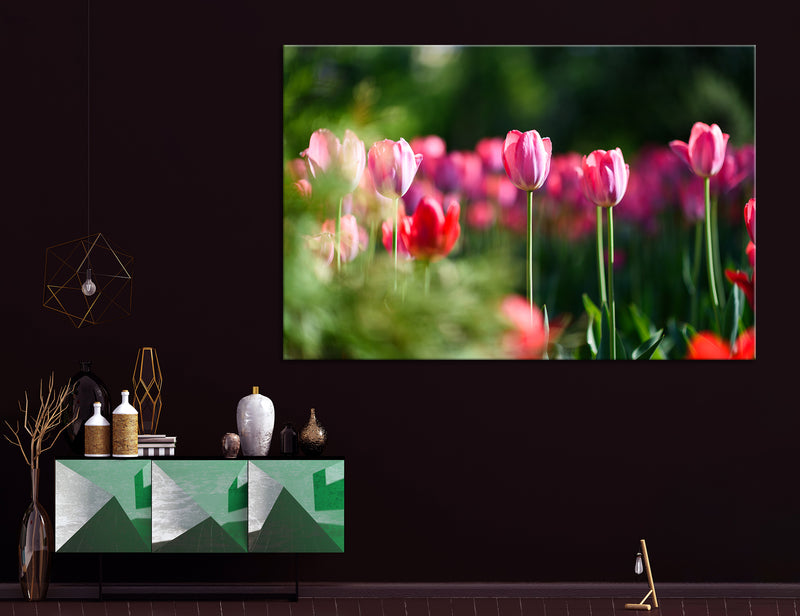 Pink Tulips Canvas Print #7517