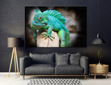 Turquoise Lizard Canvas Print #8181