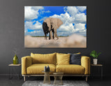 Elephant Canvas Print #8050